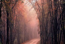 征途国际官网：卡洛斯：哈维-阿隆索是很出色的教练，但安切洛蒂是最好的.