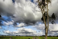 征途国际官网：塞尔记者：巴萨和什琴斯尼正在商讨1+1合同.