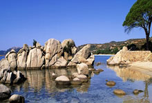 征途国际官网：[高尔夫]圆石滩配对赛亨利64杆领先首轮 小麦一杆进洞T8.